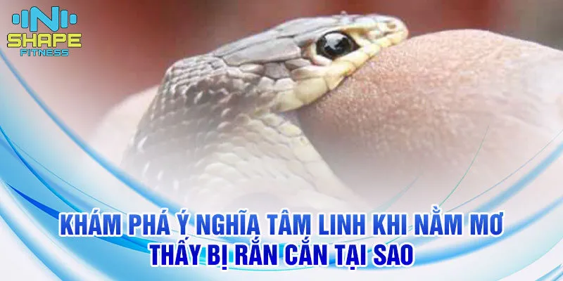 Nằm Mơ Thấy Bị Rắn Cắn: Ý Nghĩa Và Con Số Liên Quan 2 Khám phá ý nghĩa tâm linh khi nằm mơ thấy bị rắn cắn tại sao