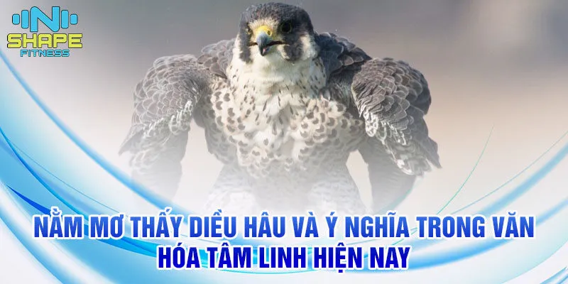 Nằm Mơ Thấy Diều Hâu - Ý Nghĩa Giấc Mơ và Số Đề 2 Nằm mơ thấy diều hâu và ý nghĩa trong văn hóa tâm linh hiện nay