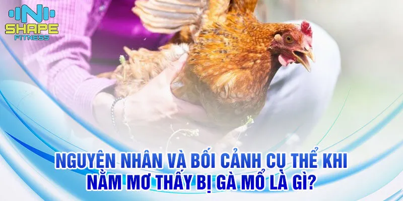 Nằm mơ thấy bị gà mổ: Giải mã ý nghĩa và soi cầu chính xác 2 Nguyên nhân và bối cảnh cụ thể khi nằm mơ thấy bị gà mổ là gì?