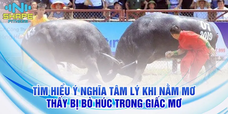 Nằm mơ thấy bị bò húc và ý nghĩa cùng con số liên quan 2 Tìm hiểu ý nghĩa tâm lý khi nằm mơ thấy bị bò húc trong giấc mơ