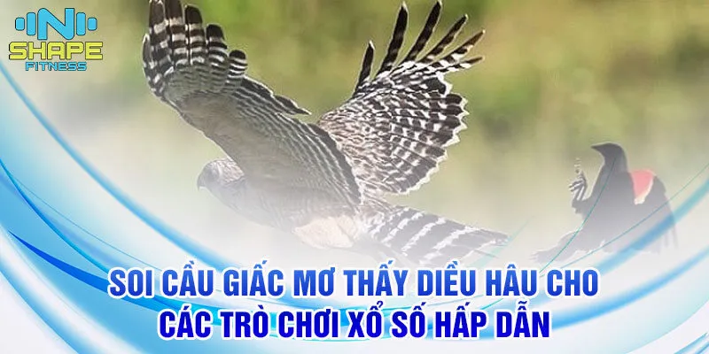 Nằm Mơ Thấy Diều Hâu - Ý Nghĩa Giấc Mơ và Số Đề 3 Soi cầu giấc mơ thấy diều hâu cho các trò chơi xổ số hấp dẫn