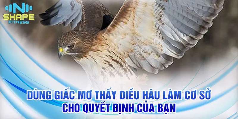 Nằm Mơ Thấy Diều Hâu - Ý Nghĩa Giấc Mơ và Số Đề 4 Dùng giấc mơ thấy diều hâu làm cơ sở cho quyết định của bạn