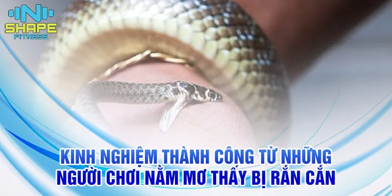 Nằm Mơ Thấy Bị Rắn Cắn: Ý Nghĩa Và Con Số Liên Quan 4 Kinh nghiệm thành công từ những người chơi nằm mơ thấy bị rắn cắn