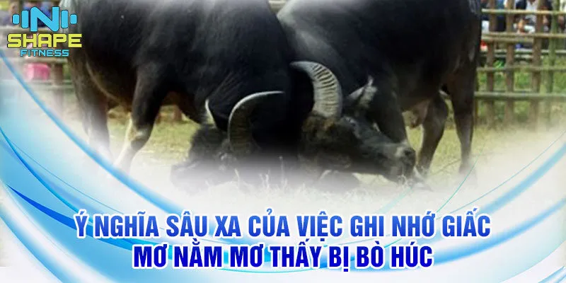 Nằm mơ thấy bị bò húc và ý nghĩa cùng con số liên quan 4 Ý nghĩa sâu xa của việc ghi nhớ giấc mơ nằm mơ thấy bị bò húc