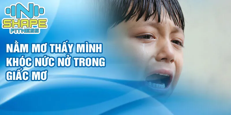 Nằm mơ thấy mình khóc: cách giải tỏa cảm xúc 2 Nằm mơ thấy mình khóc nức nở trong giấc mơ